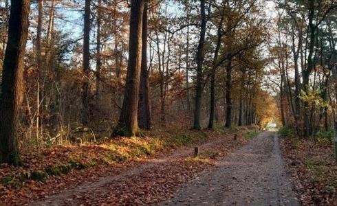 Te Huur: Huisje "Groen Geluk"
